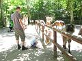 Zoo 02